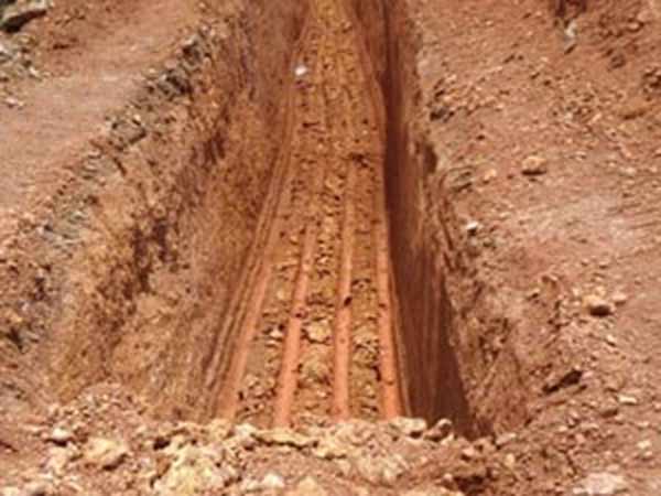 நாற்றங்கால்கள் நாசம் 