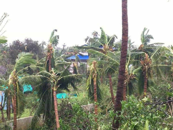 514 பாதுகாப்பு முகாம்கள்