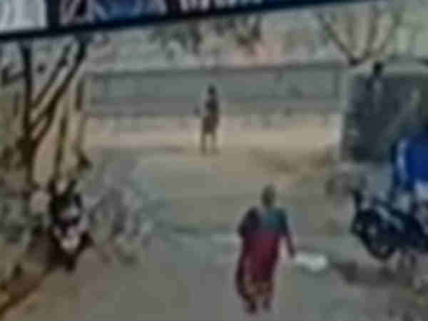 பதைபதைக்க வைக்கும் காட்சிகள் 