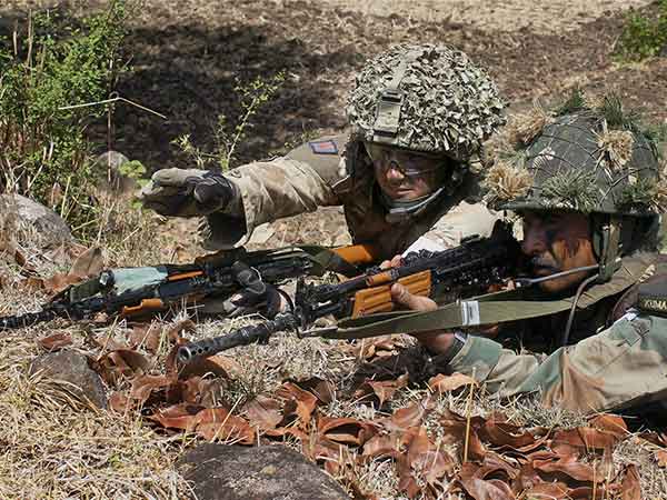 விசாரணை 