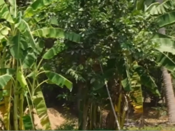 water problem has not come yet.. Stunning Green Village near Jayankondam 