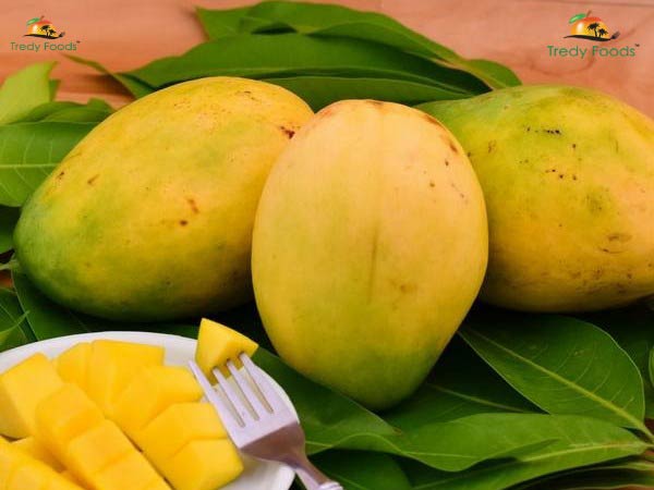 Tredyfoods.com offers a variety of mangoes with nature touch and taste 