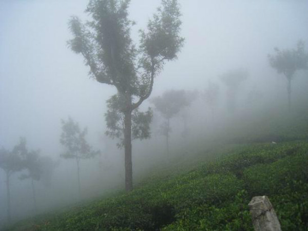 அருவிகளில் வெள்ளம் 