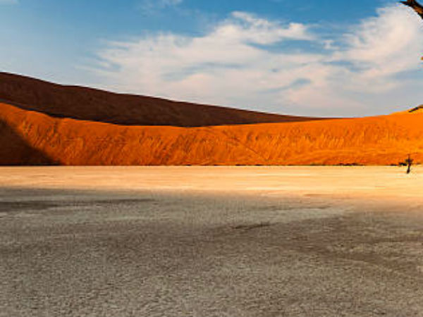 உலக நாடுகளுக்கு கோரிக்கை 