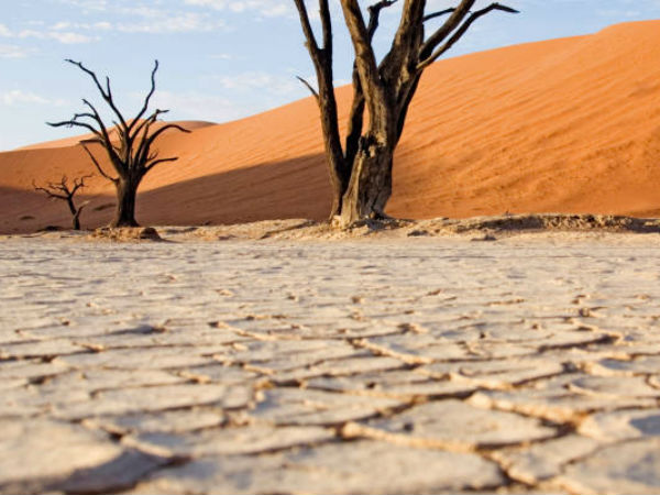 வறண்ட தேசம் 