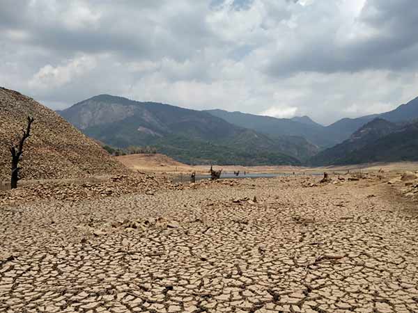 மேற்கு தொடர்ச்சி மலை 