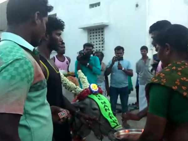 நெகிழ்ச்சி 