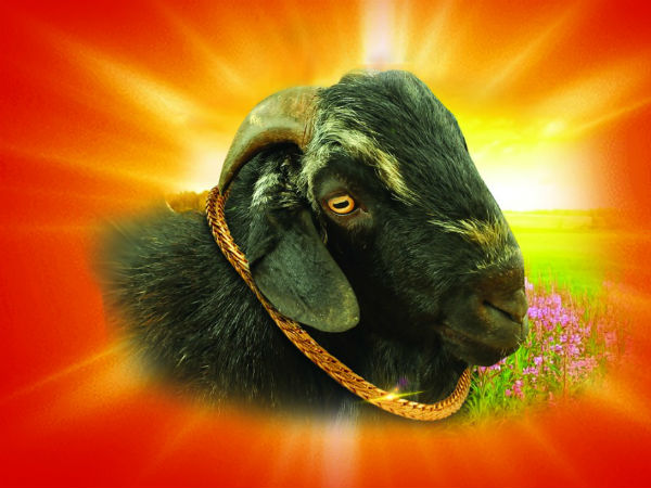 நினைத்து கதறும் முருகன் 