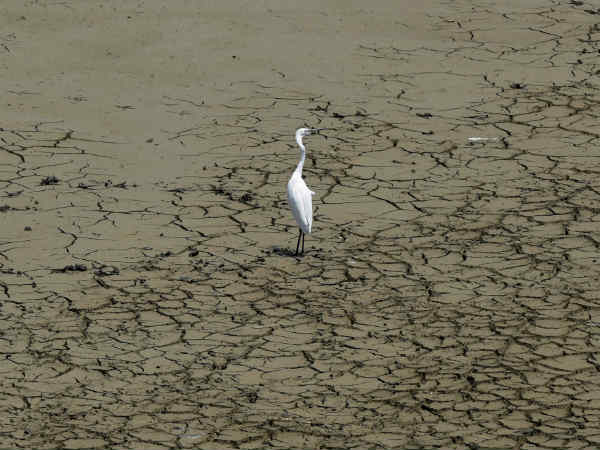 வற்றிய கிணறுகள் 