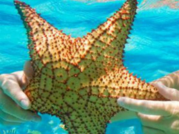 திடீரென ஒதுங்கியதால் மக்கள் பீதி திடீரென ஒதுங்கியதால் மக்கள் பீதி