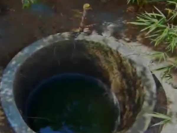 தெய்வானை ஆட்டோவில் 