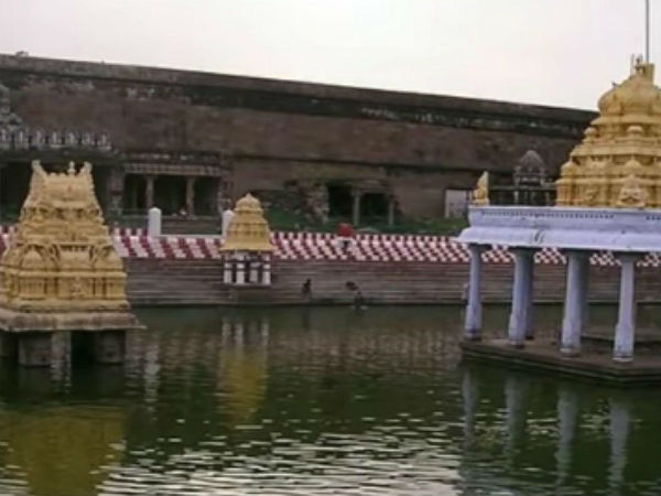 அத்திவரதர் தரிசனம்