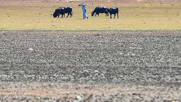 வறண்ட ஏரிகள் 