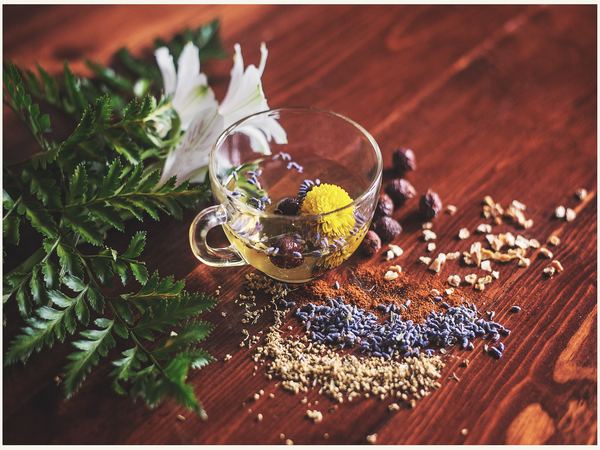 Madurai retired teacher preaches about Siddha medicines wonders 
