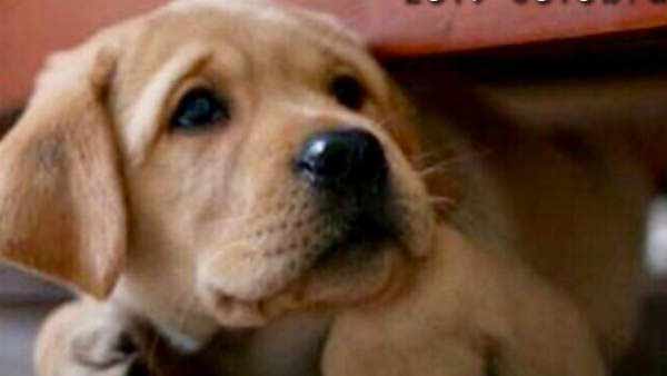 அதிர்ச்சி: