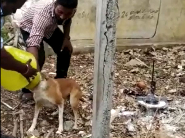 பிளாஸ்டிக் குடம் 