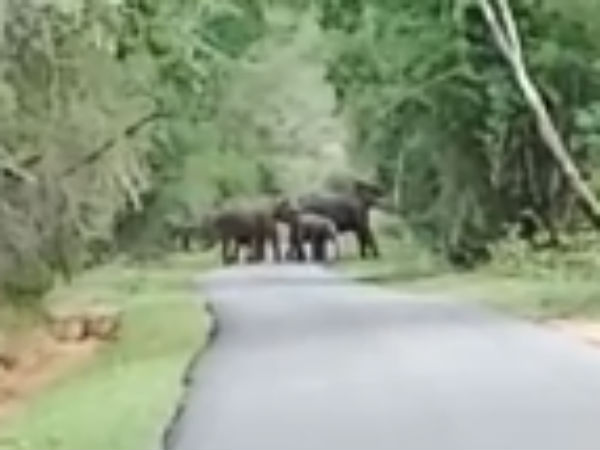 டான்ஸ் டான்ஸ்