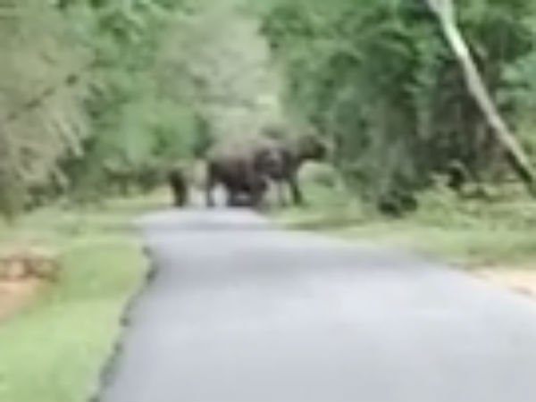 காத்திருப்பு காத்திருப்பு