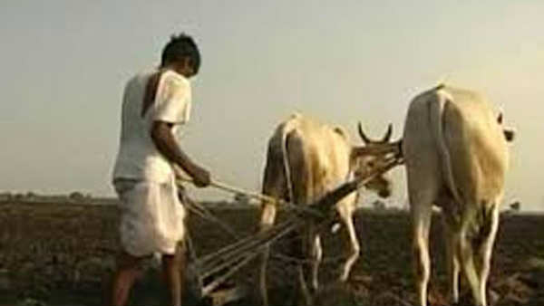 விவசாயிகளின் கடன் சுமை 