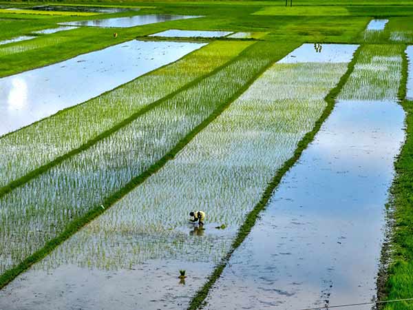 இயக்கம் துவக்கி உள்ளோம் 