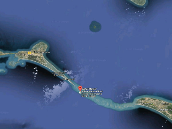 மன்னார் வளைகுடா கொந்தளிப்பு மன்னார் வளைகுடா கொந்தளிப்பு