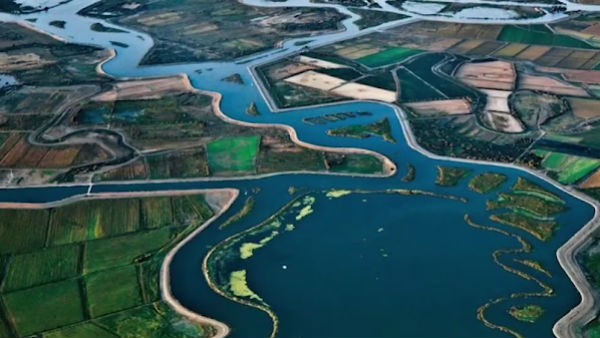 வணிக அரசியல் 