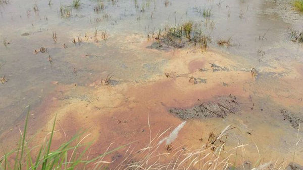Crude oil spill again in Kathiramangalam, Peoples fear Crude oil spill again in Kathiramangalam, Peoples fear