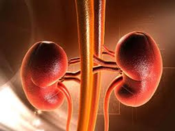 நிர்வாகம் புகார் 