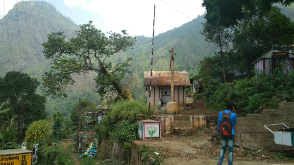 வாழை விவசாயம் 