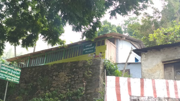 பறவைகள் ரீங்காரங்கள் 