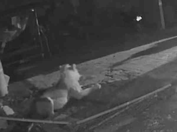 சிங்கம்: