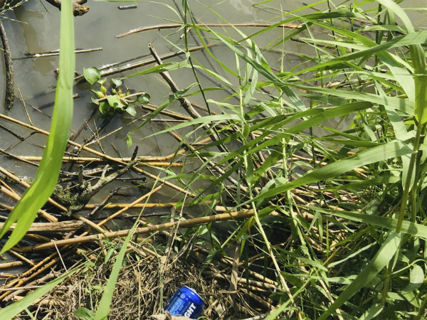 பிரிக்க முடியாத மரணம்