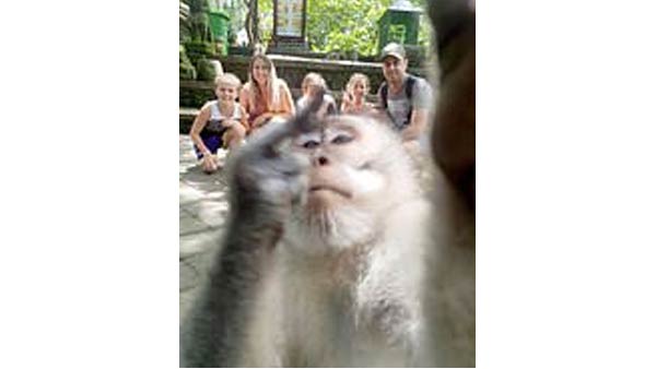 சுற்றுலா சுற்றுலா