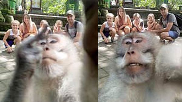 குரங்குடன் குடும்பத்தினர் குரங்குடன் குடும்பத்தினர்