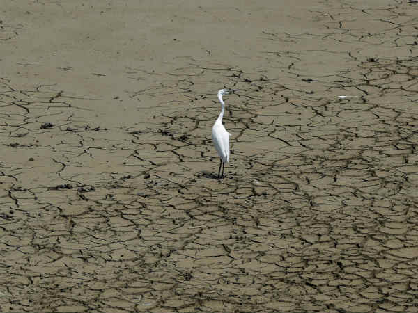 அதிர்ஷ்டம் இல்லை 