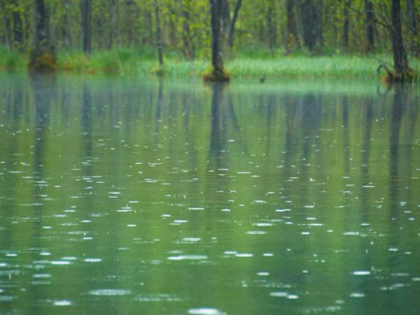 இயல்பான மழை 