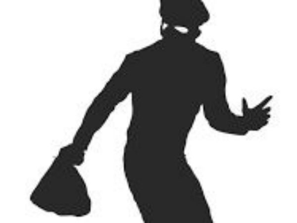  திருடுவதே தொழில்