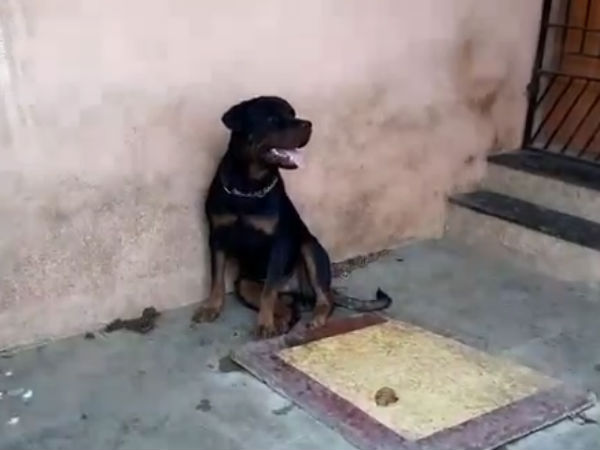 படுமோசம் 