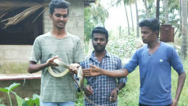 Snake Catcher Sheikh Husseins special interview