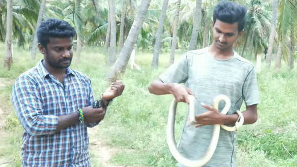 Snake Catcher Sheikh Husseins special interview