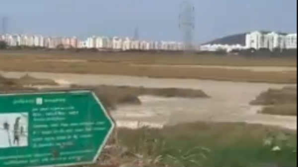 Sholinganallur wetland is completely dry Sholinganallur wetland is completely dry