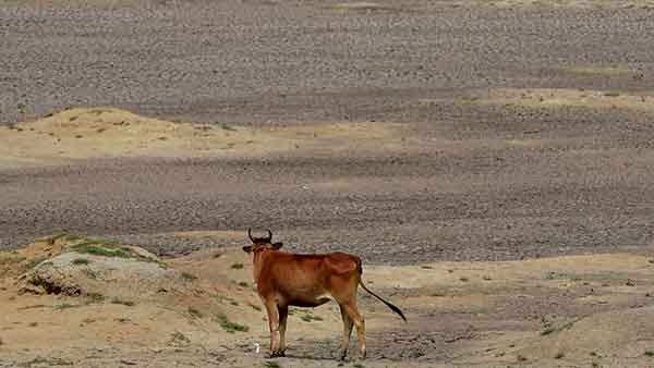 அவசியம் 