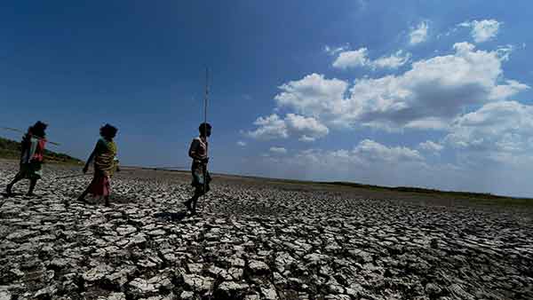 சிக்கன முறை 