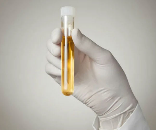 நெட்டிசன்கள் விமர்சனம்: