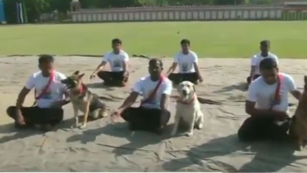 Dog squad of BSF performs yoga Dog squad of BSF performs yoga