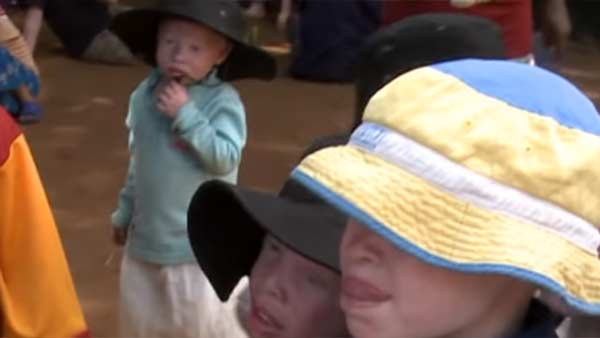 உறுப்புகள் 