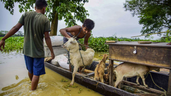 Brahmaputra floods danger in assam after heavy rain, 15 Lakh Affected , 7 died Brahmaputra floods danger in assam after heavy rain, 15 Lakh Affected , 7 died