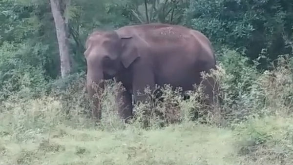 வேண்டுகோள்