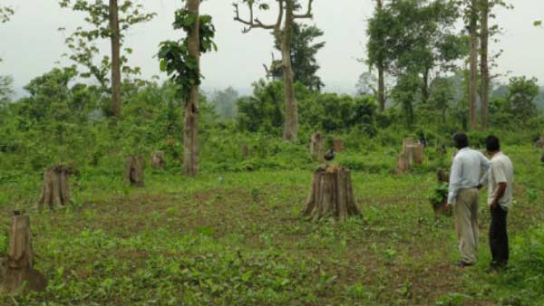 2015-16ஆம் ஆண்டில் 17லட்சம்