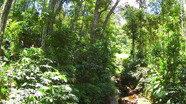 வளர்ச்சியின் பெயரில் அழிப்பு